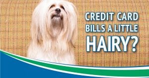 Credit card bills a little hairy?