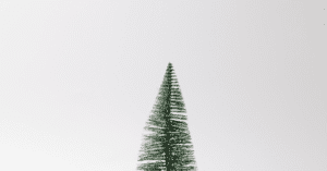 Small Christmas tree in front of white background
