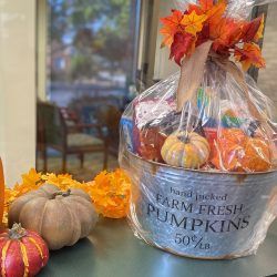 SC October giveaway pumpkin basket